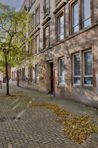 Autumn Street Picture